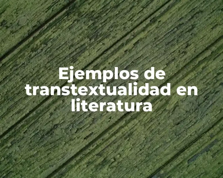 Ejemplos de transtextualidad en literatura