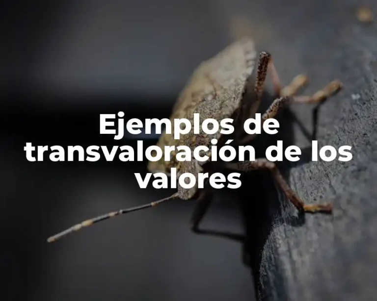 Ejemplos de transvaloración de los valores