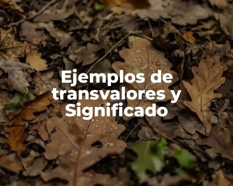 Ejemplos de transvalores y Significado