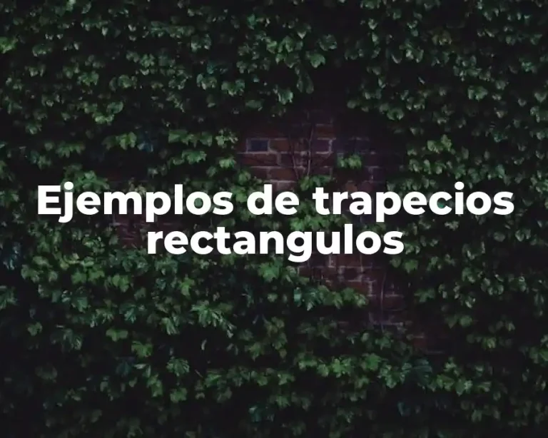 Ejemplos de trapecios rectangulos