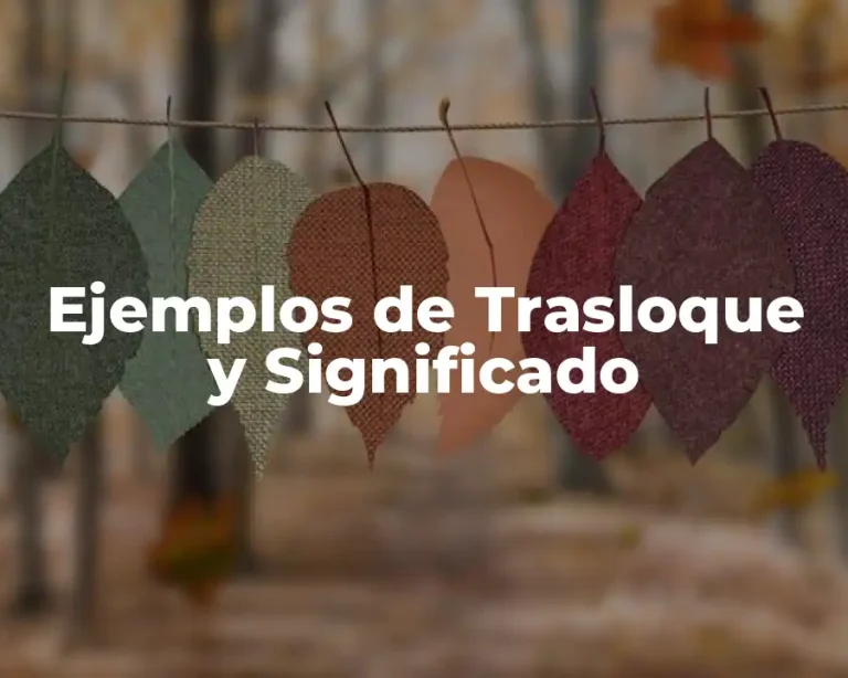 Ejemplos de Trasloque y Significado