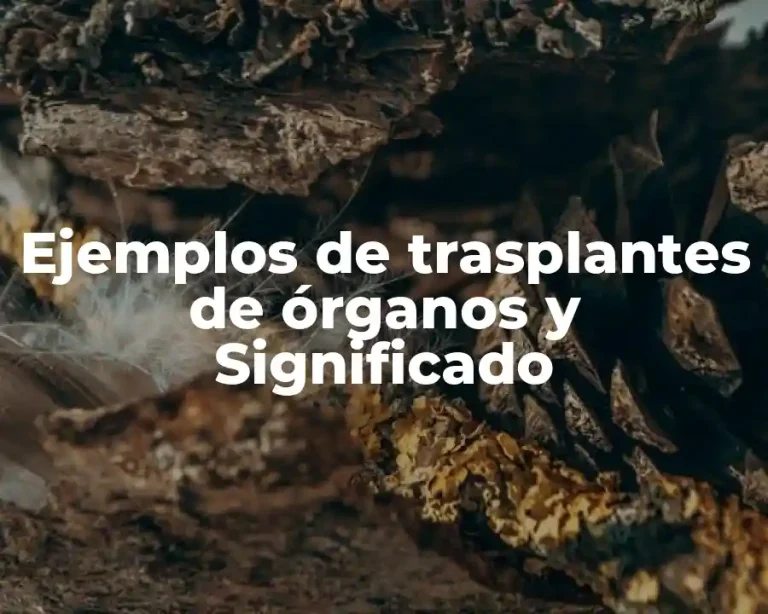 Ejemplos de trasplantes de órganos y Significado