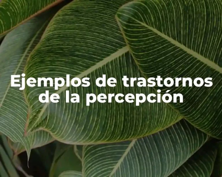 Ejemplos de trastornos de la percepción
