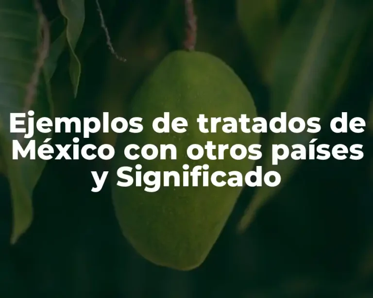 Ejemplos de tratados de México con otros países y Significado