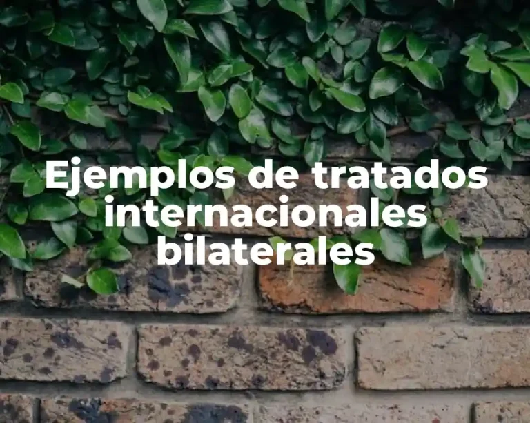 Ejemplos de tratados internacionales bilaterales