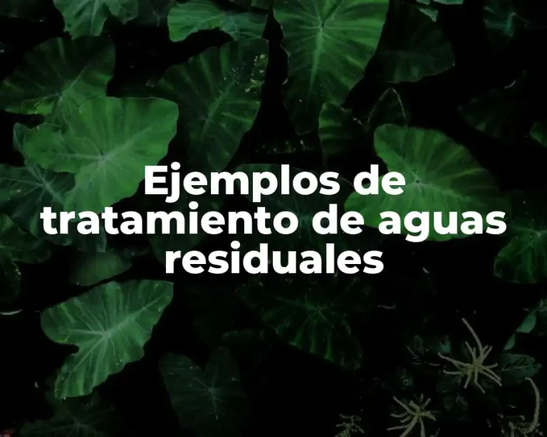 Ejemplos de tratamiento de aguas residuales