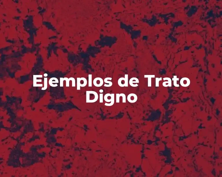 Ejemplos de Trato Digno