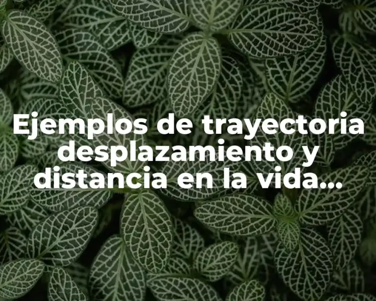 Ejemplos de trayectoria desplazamiento y distancia en la vida cotidiana