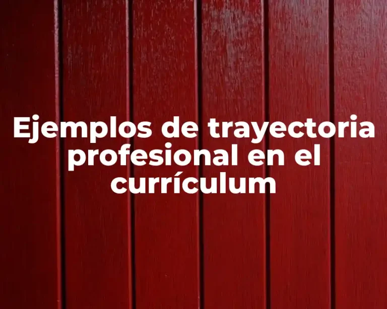 Ejemplos de trayectoria profesional en el currículum