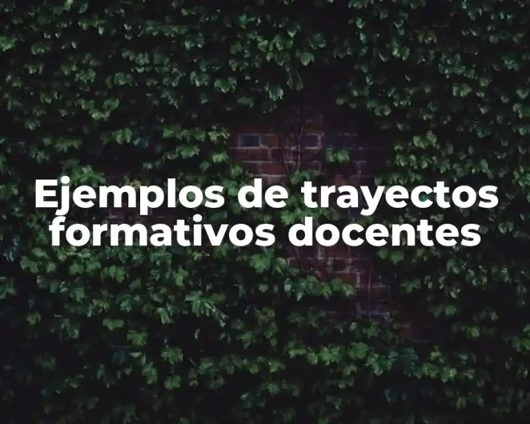 Ejemplos de trayectos formativos docentes