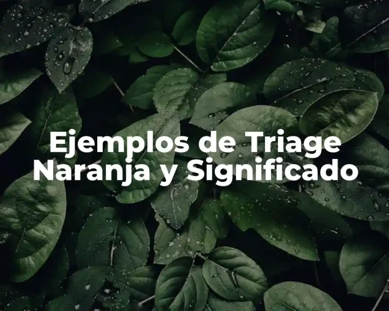 Ejemplos de Triage Naranja y Significado