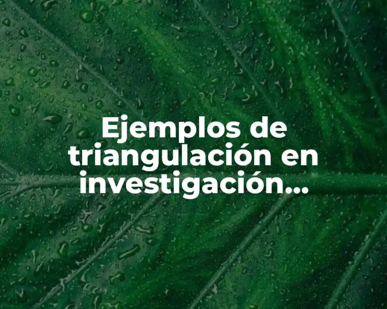 Ejemplos de triangulación en investigación cualitativa
