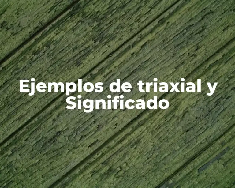 Ejemplos de triaxial y Significado