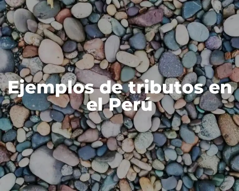 Ejemplos de tributos en el Perú