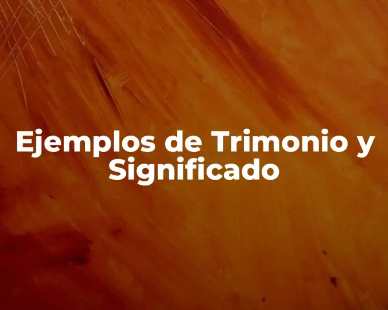 Ejemplos de Trimonio y Significado
