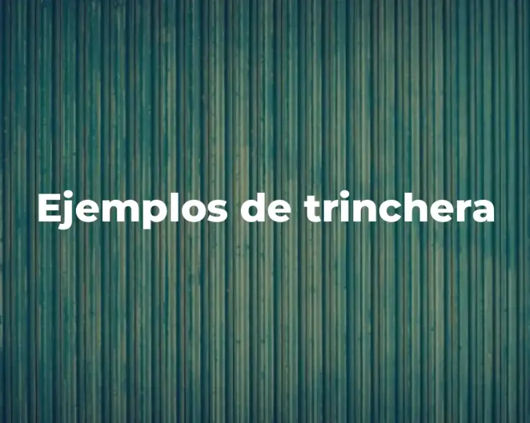 Ejemplos de trinchera