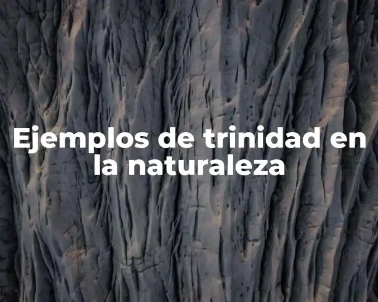 Ejemplos de trinidad en la naturaleza