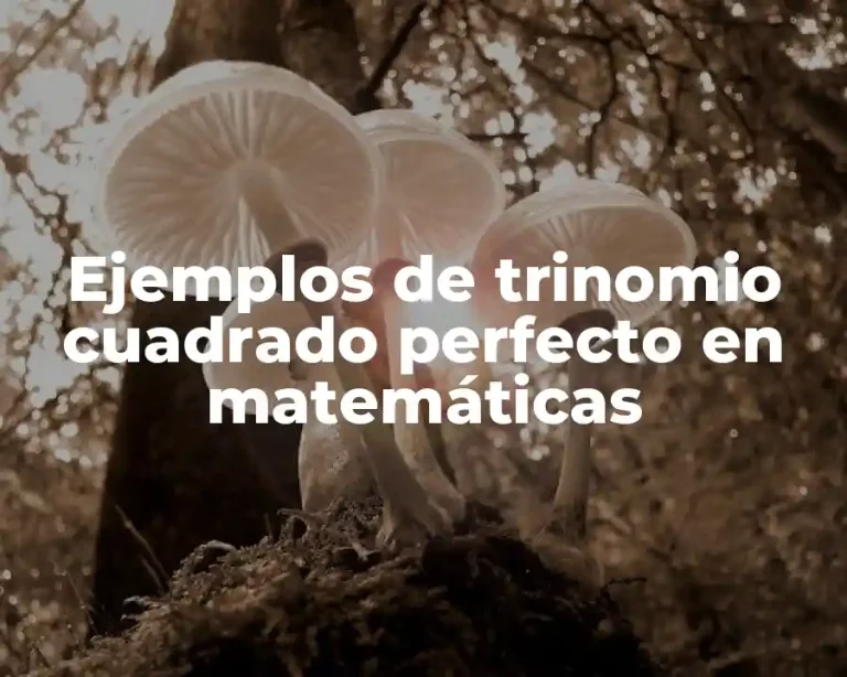 Ejemplos de trinomio cuadrado perfecto en matemáticas