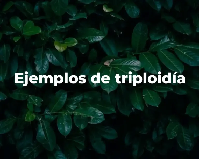 Ejemplos de triploidía
