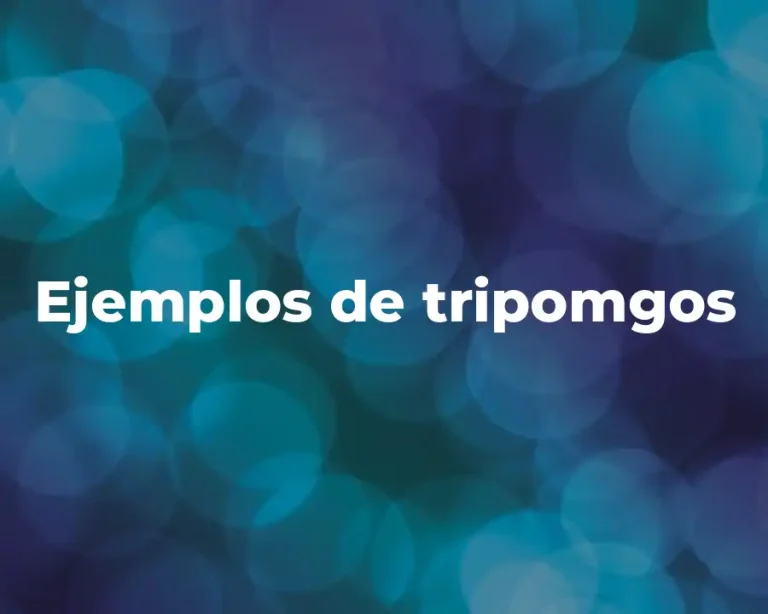 Ejemplos de tripomgos