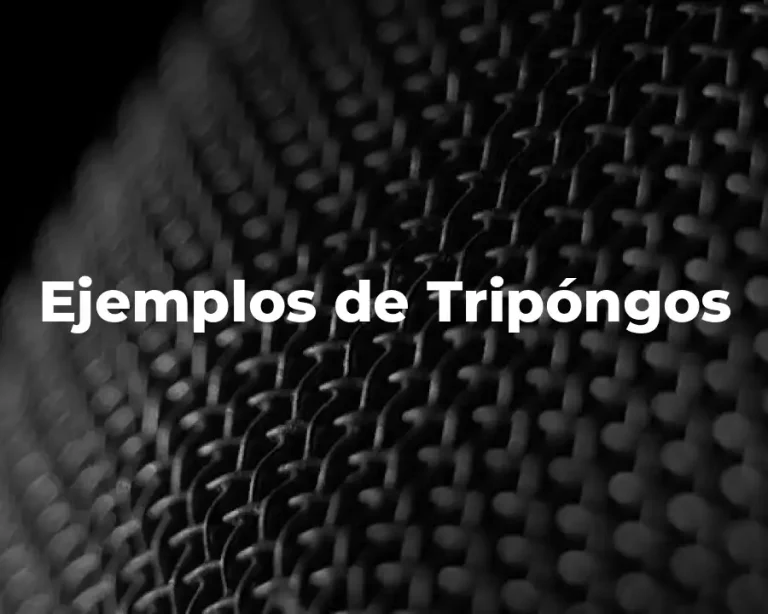 Ejemplos de Tripóngos