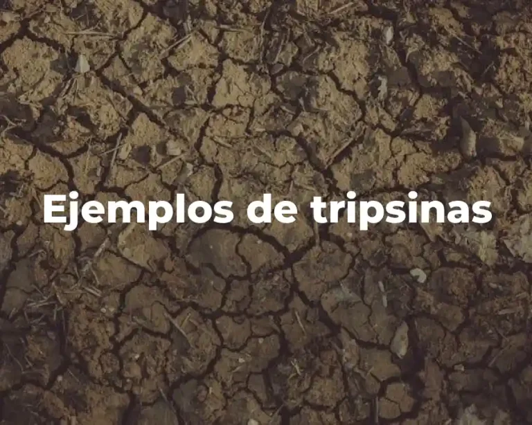 Ejemplos de tripsinas