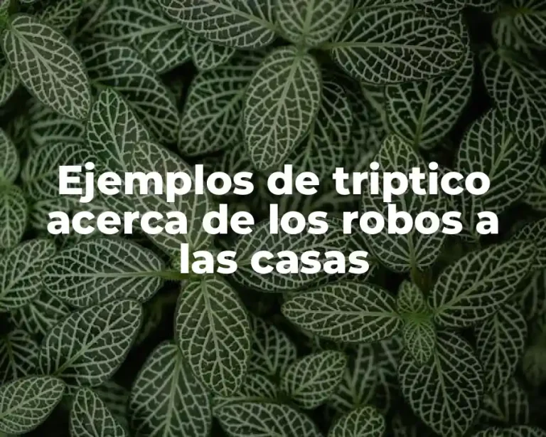Ejemplos de triptico acerca de los robos a las casas