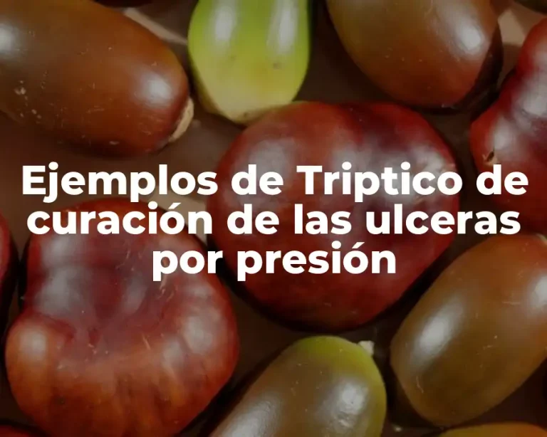 Ejemplos de Triptico de curación de las ulceras por presión