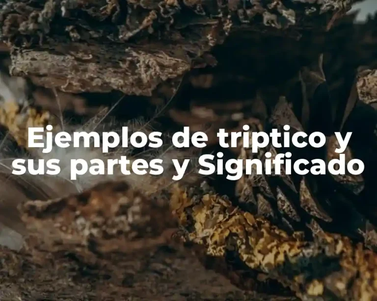 Ejemplos de triptico y sus partes y Significado