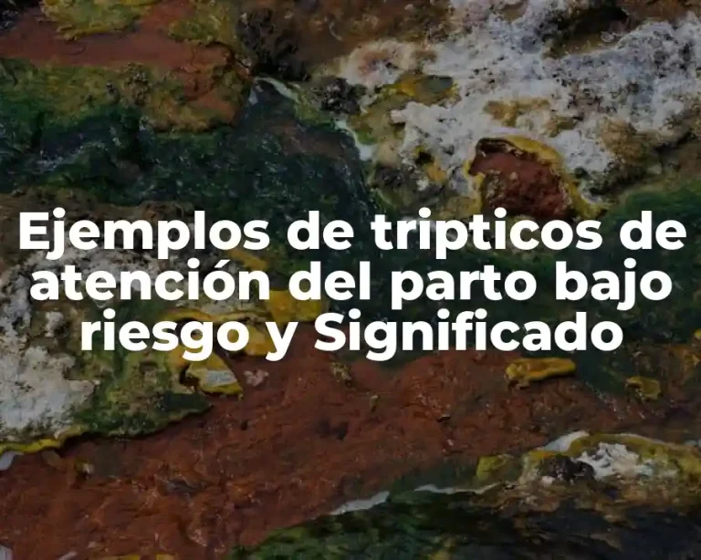 Ejemplos de tripticos de atención del parto bajo riesgo y Significado