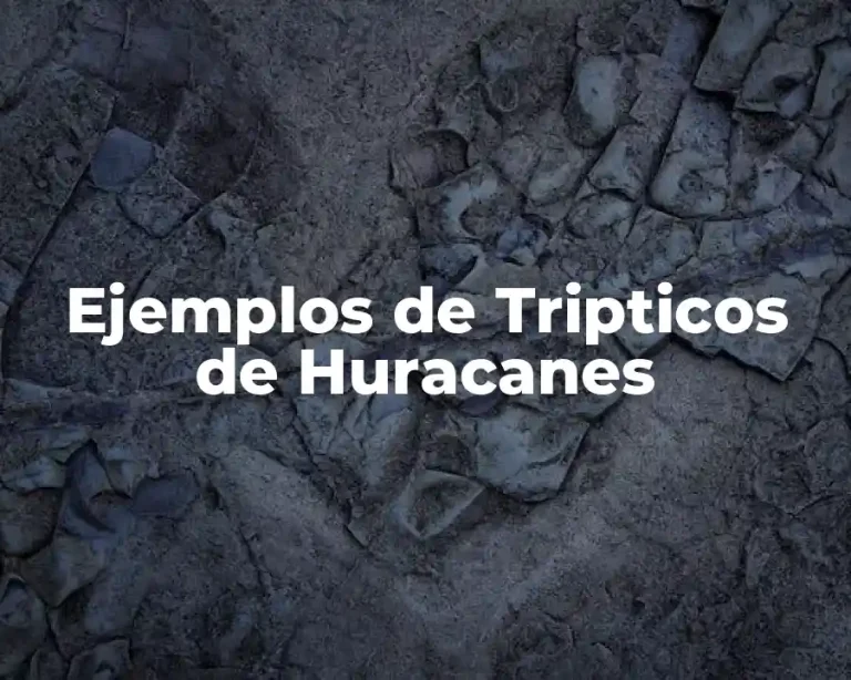 Ejemplos de Tripticos de Huracanes