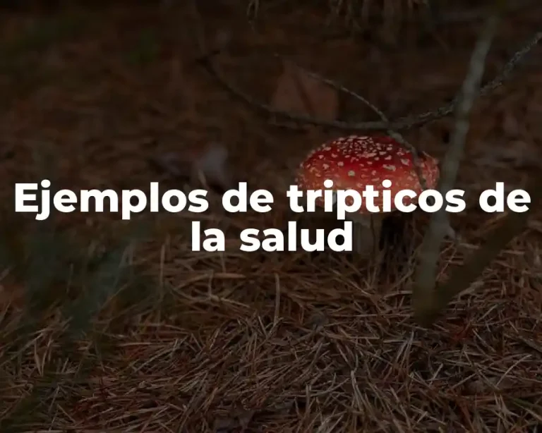 Ejemplos de tripticos de la salud
