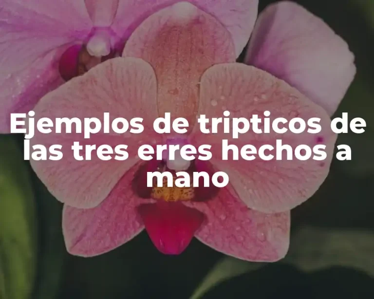 Ejemplos de tripticos de las tres erres hechos a mano