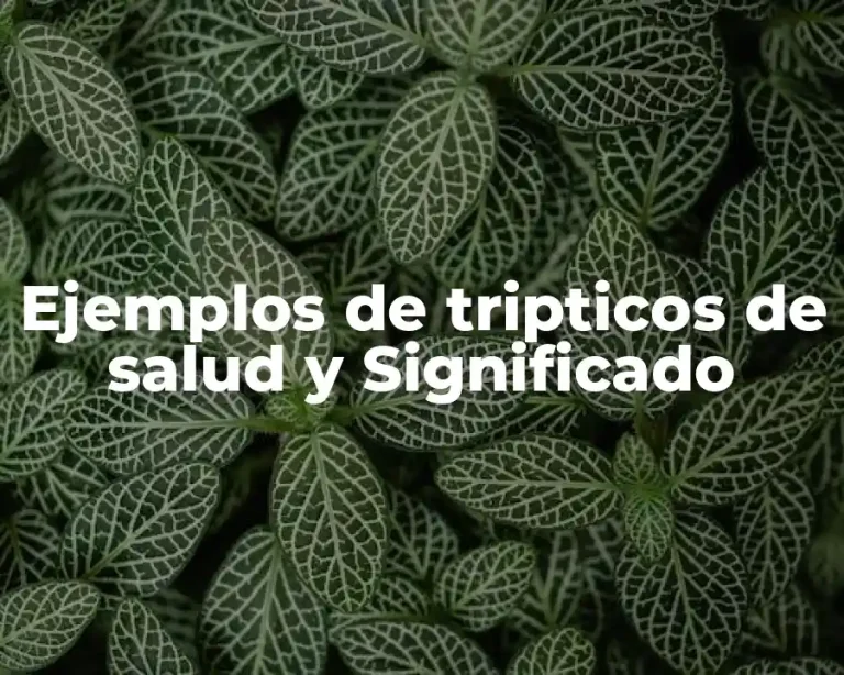 Ejemplos de tripticos de salud y Significado