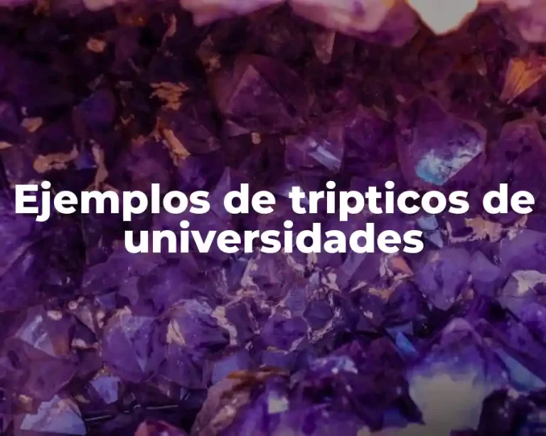 Ejemplos de tripticos de universidades