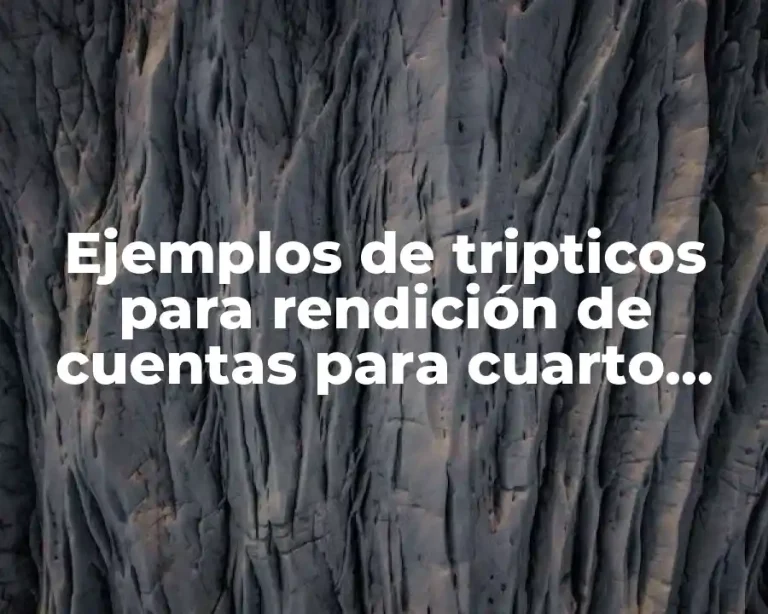 Ejemplos de tripticos para rendición de cuentas para cuarto grado