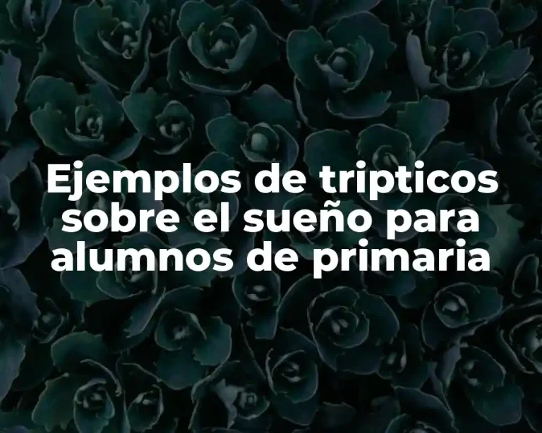 Ejemplos de tripticos sobre el sueño para alumnos de primaria