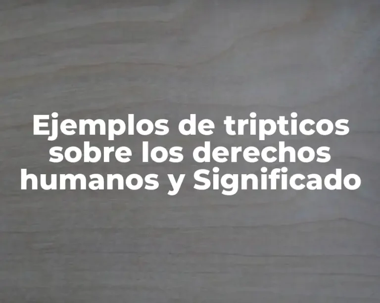 Ejemplos de tripticos sobre los derechos humanos y Significado