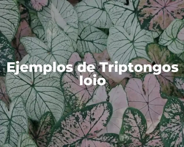 Ejemplos de Triptongos Ioio