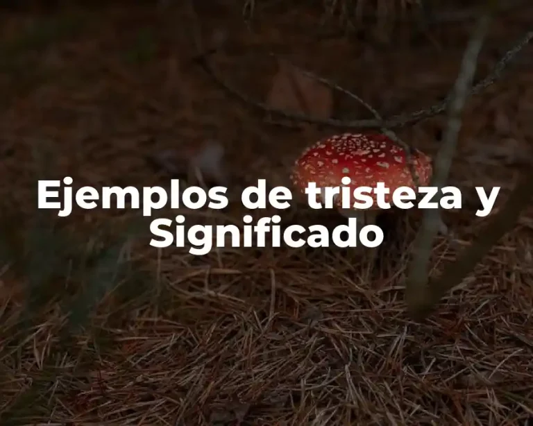 Ejemplos de tristeza y Significado