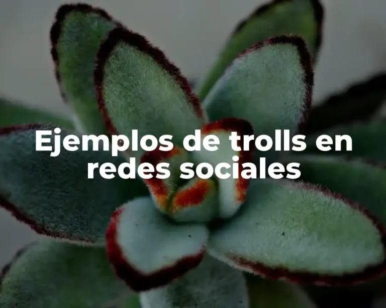 Ejemplos de trolls en redes sociales