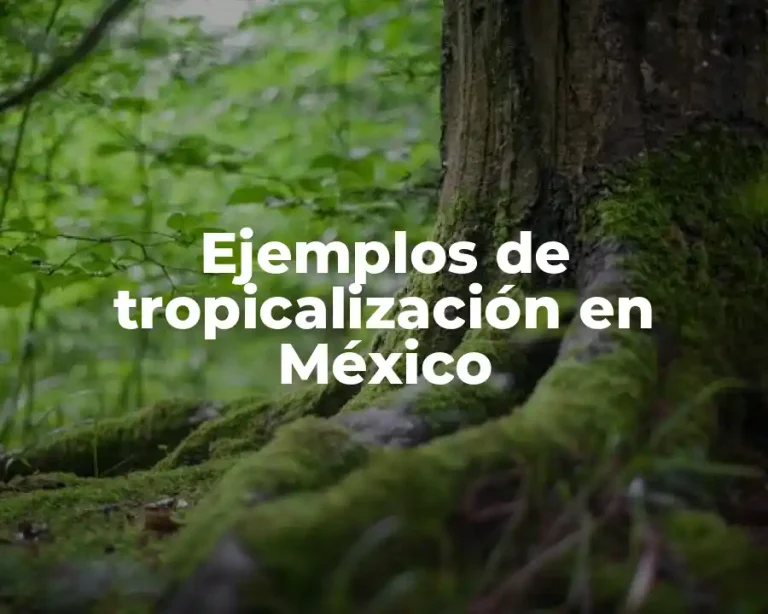 Ejemplos de tropicalización en México