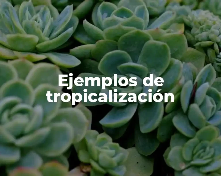 Ejemplos de tropicalización