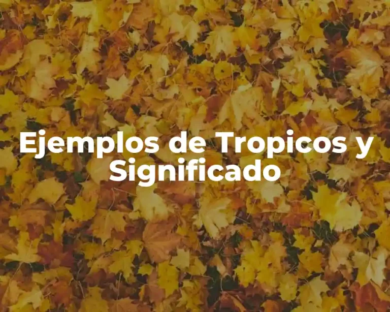 Ejemplos de Tropicos y Significado