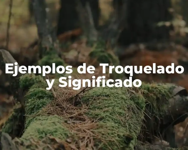 Ejemplos de Troquelado y Significado