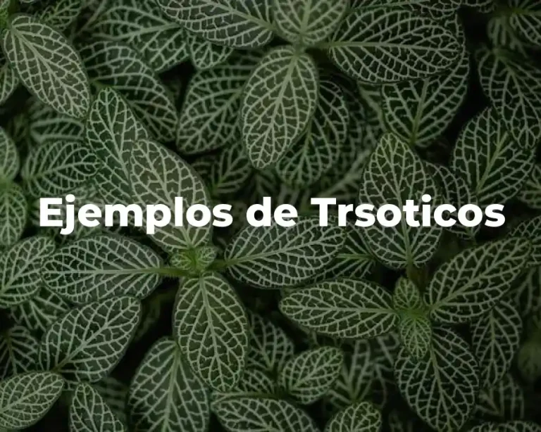 Ejemplos de Trsoticos