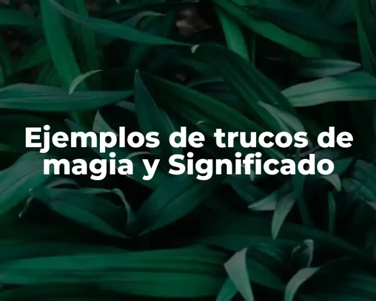 Ejemplos de trucos de magia y Significado