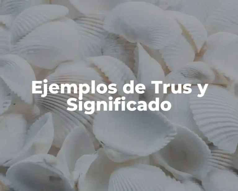 Ejemplos de Trus y Significado