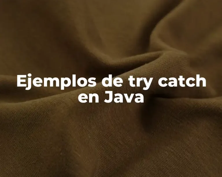 Ejemplos de try catch en Java
