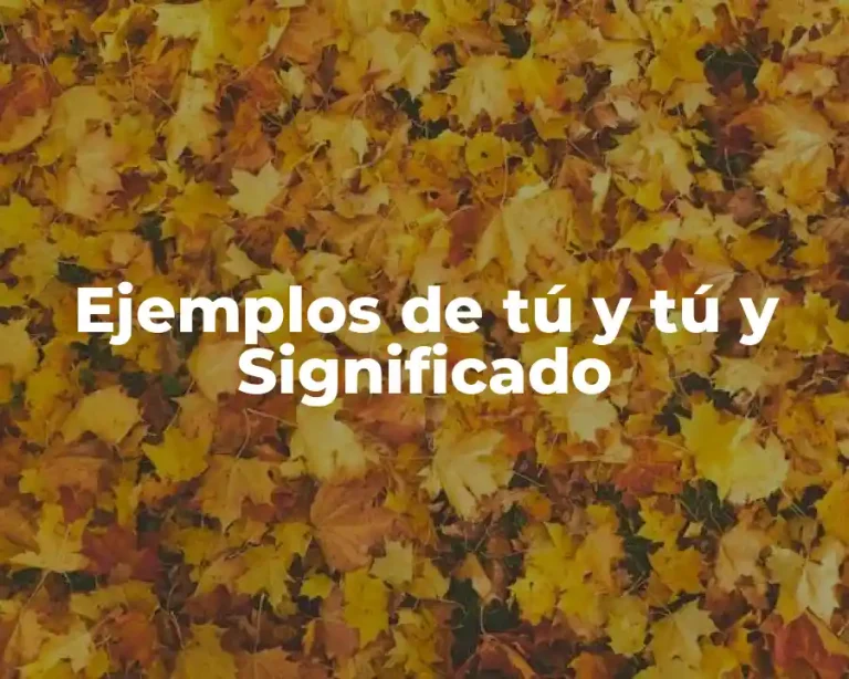 Ejemplos de tú y tú y Significado